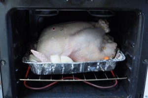 THXgiving turkey