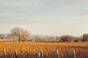 12Dec2011_08