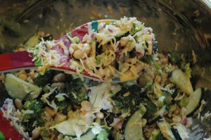 BrocSalad8