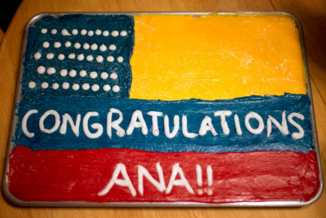 ana_cake1