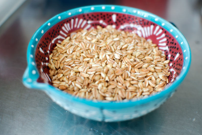 Farro Side Salad | Garlic, My Soul