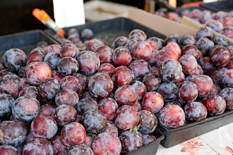 Hollywood Farmer's Market | Garlic, My Soul