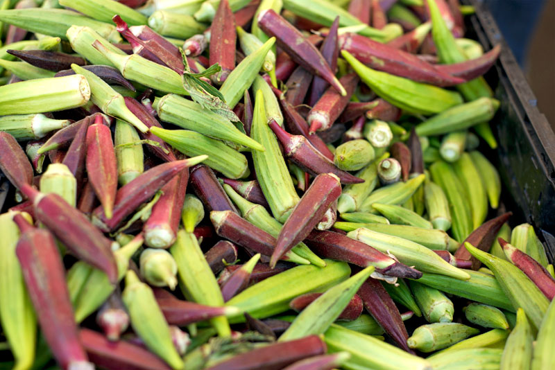 Hollywood Farmer's Market | Garlic, My Soul