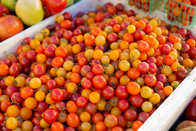 Hollywood Farmer's Market | Garlic, My Soul