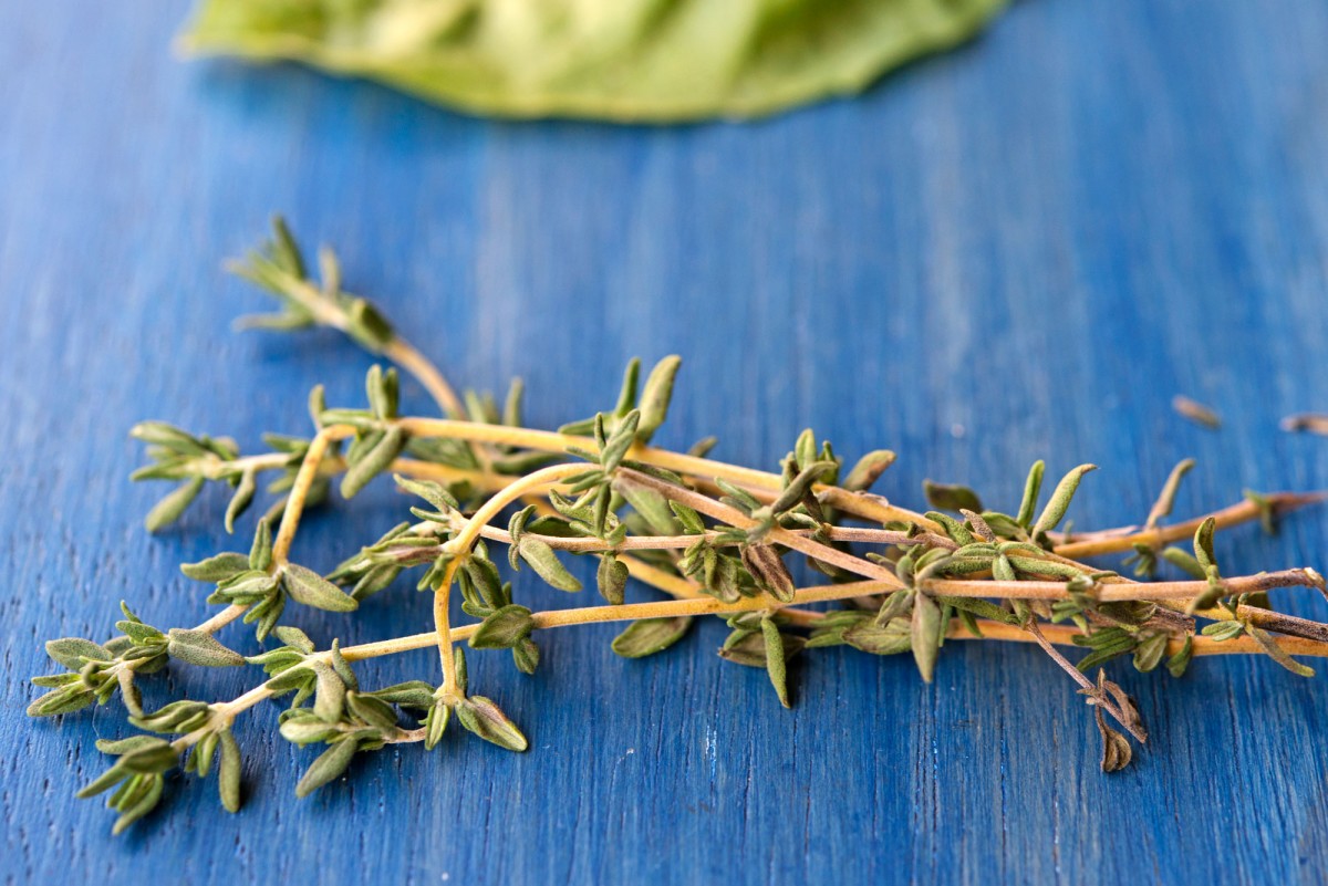 Thyme | Garlic, My Soul