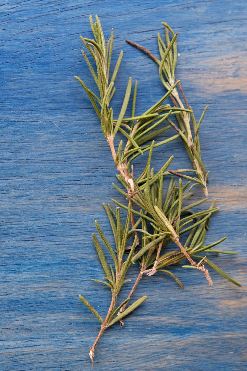 Rosemary | Garlic, My Soul