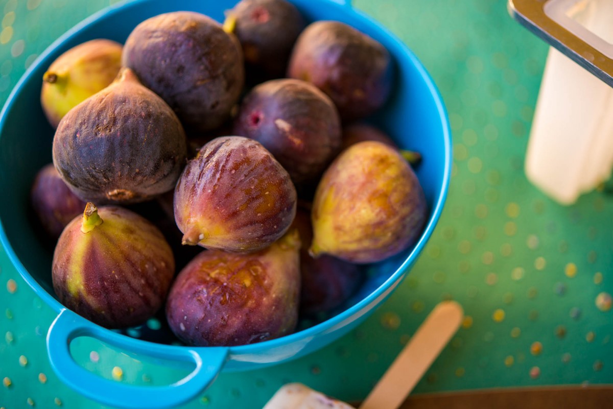 Fig & Coconut Popsicles | Garlic, My Soul