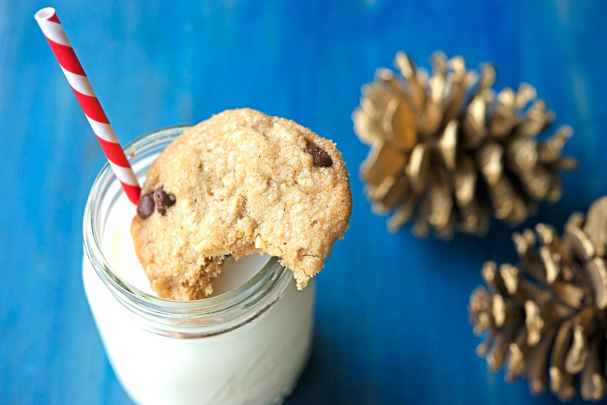 Cranberry Walnut Cookies | Garlic, My Soul